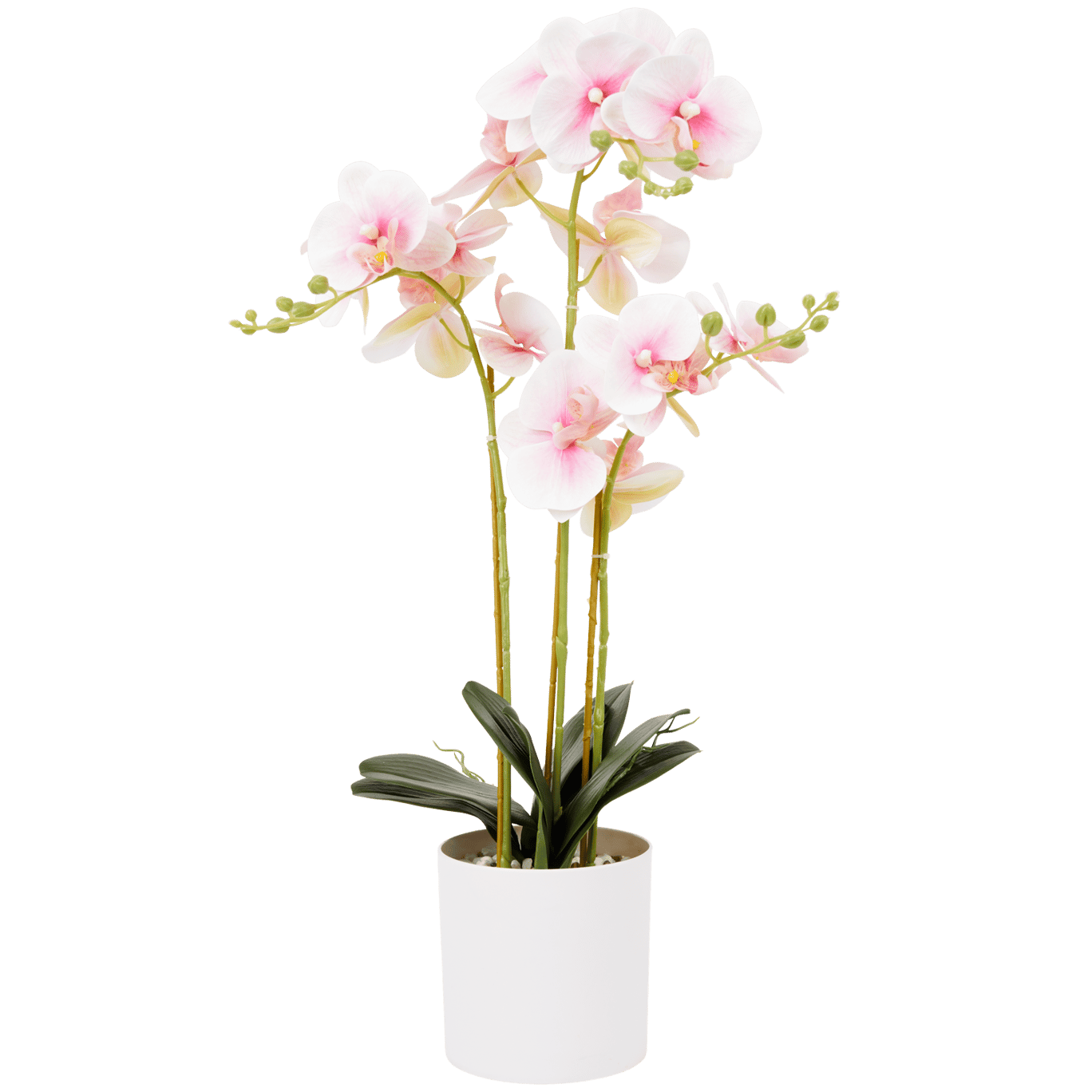 Kunst orchidee in pot