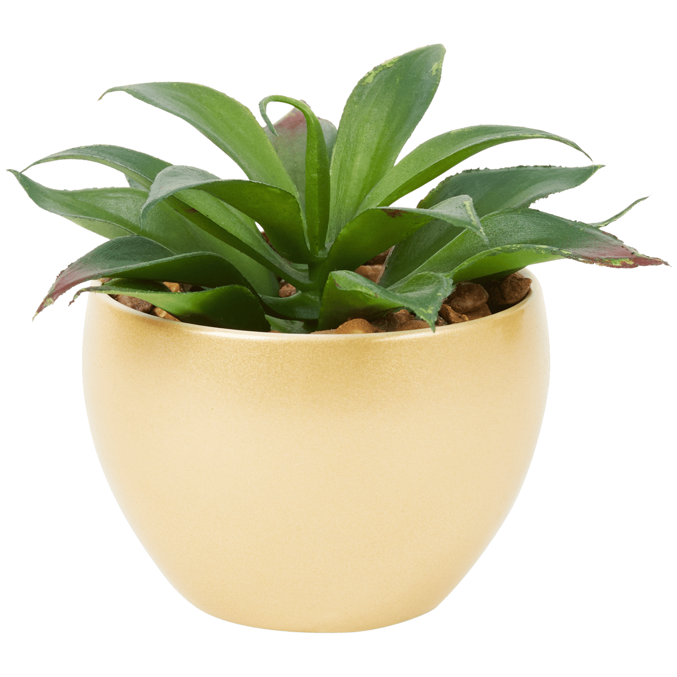 Pianta grassa finta in vaso EXOTICA BY AGRICOLA 01460025