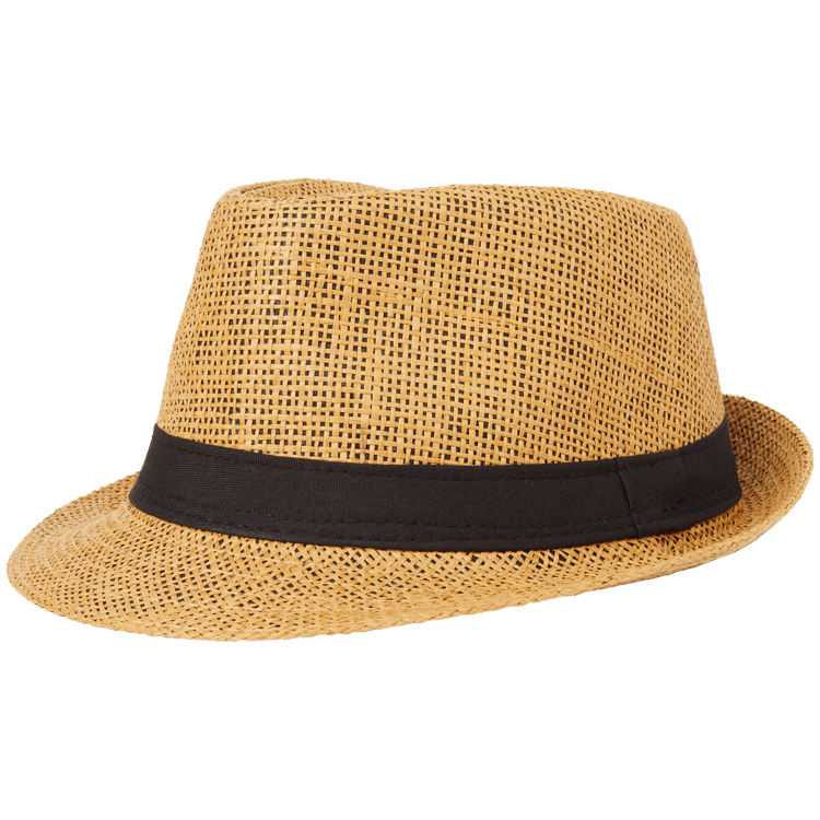 Chapeau Fédora