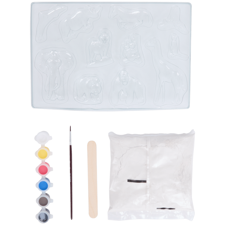 Kit de gesso SES