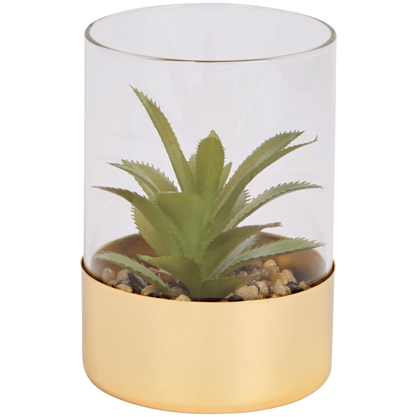 Plante grasse artificielle dans un terrarium