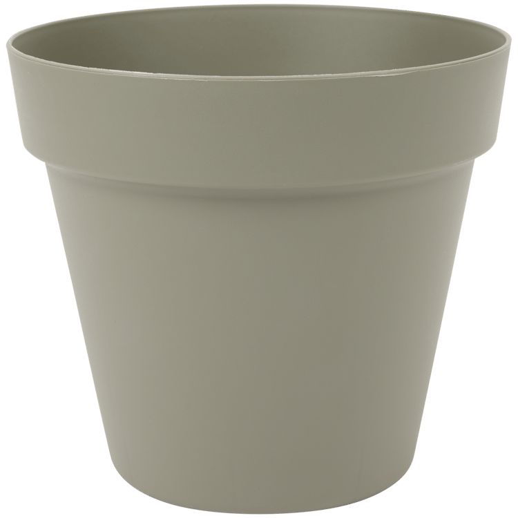 Vaso Toledo