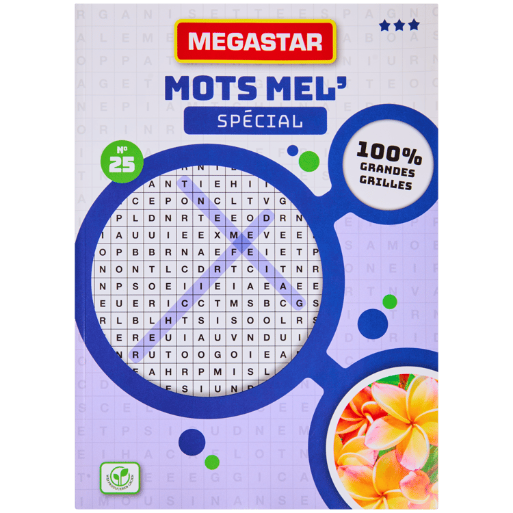 Livre de puzzles cérébraux Megastar 