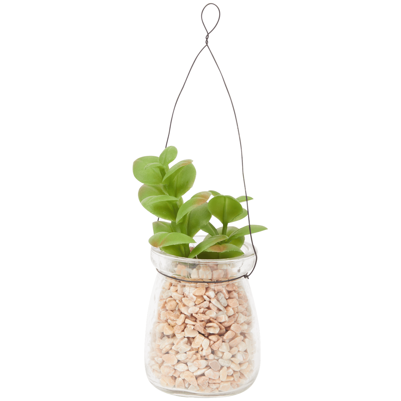 Plante grasse artificielle dans vase à suspendre Absolu Chic