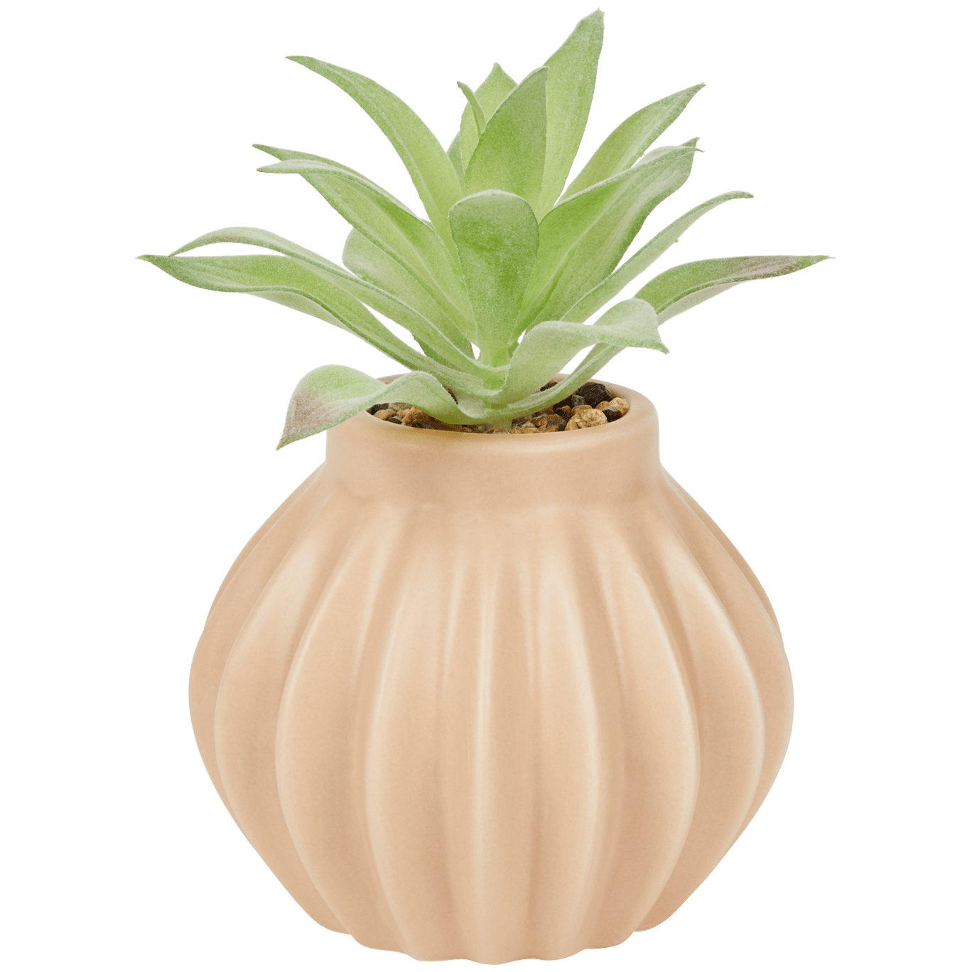 Planta suculenta artificial em vaso