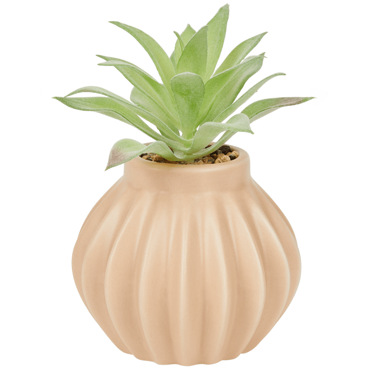 Planta suculenta artificial em vaso