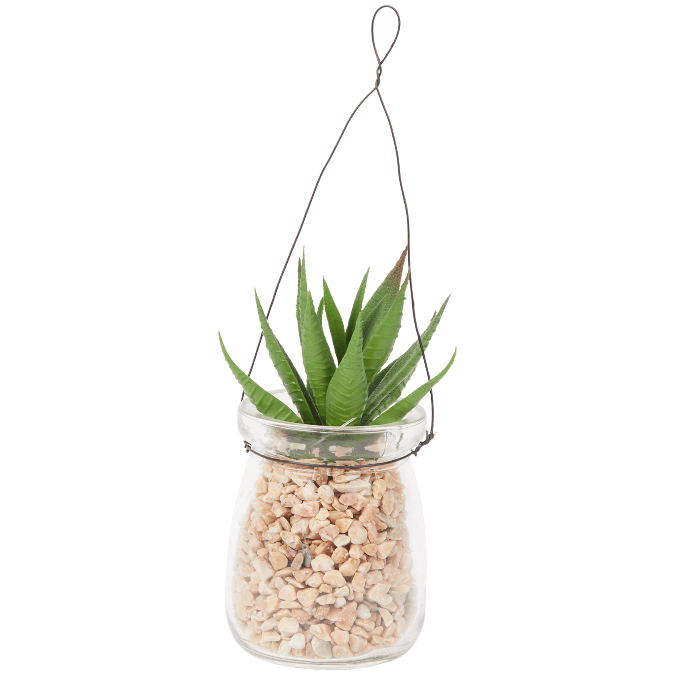 Plante grasse artificielle dans vase à suspendre Absolu Chic
