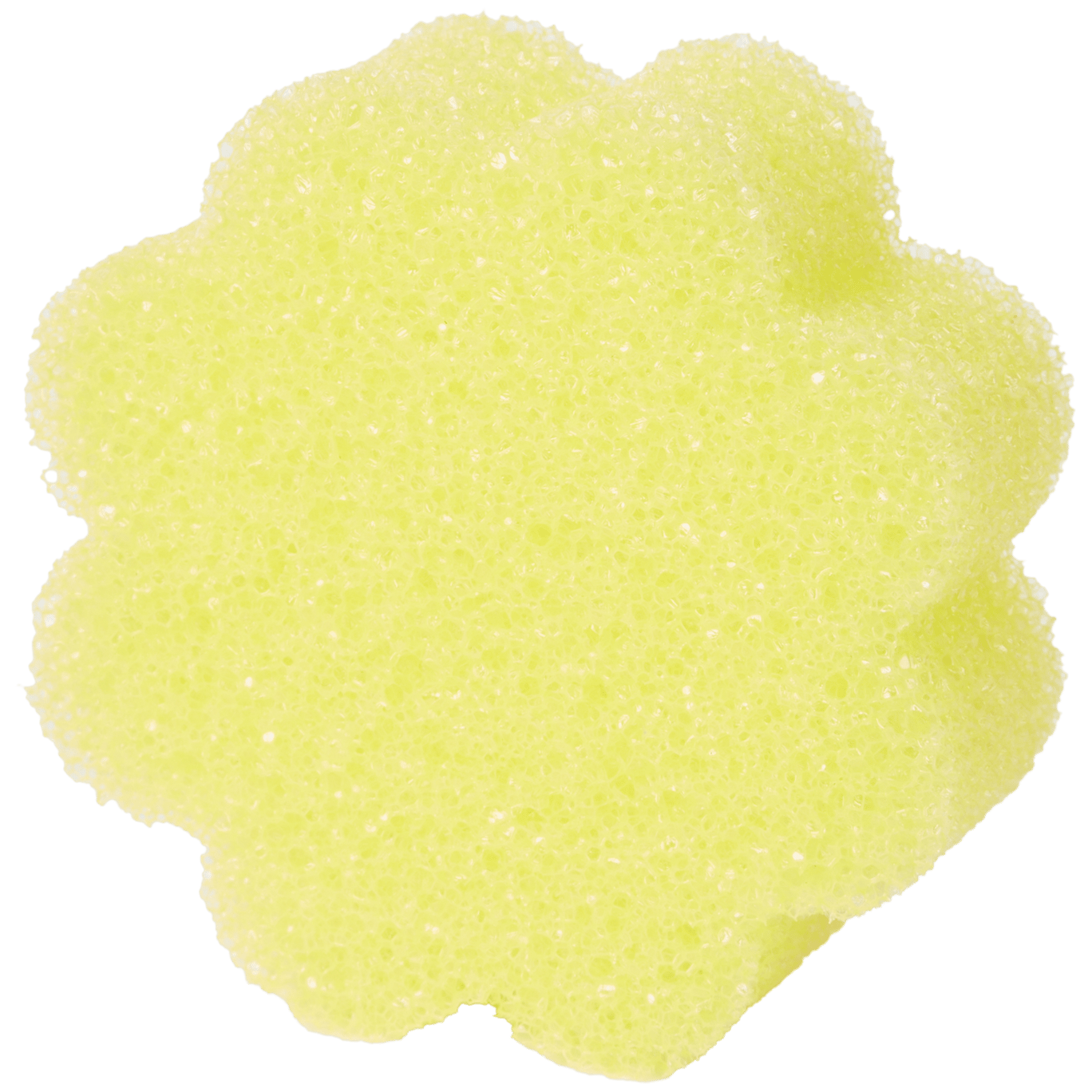 Kuchyňská houba CleanRite Super Scrubby