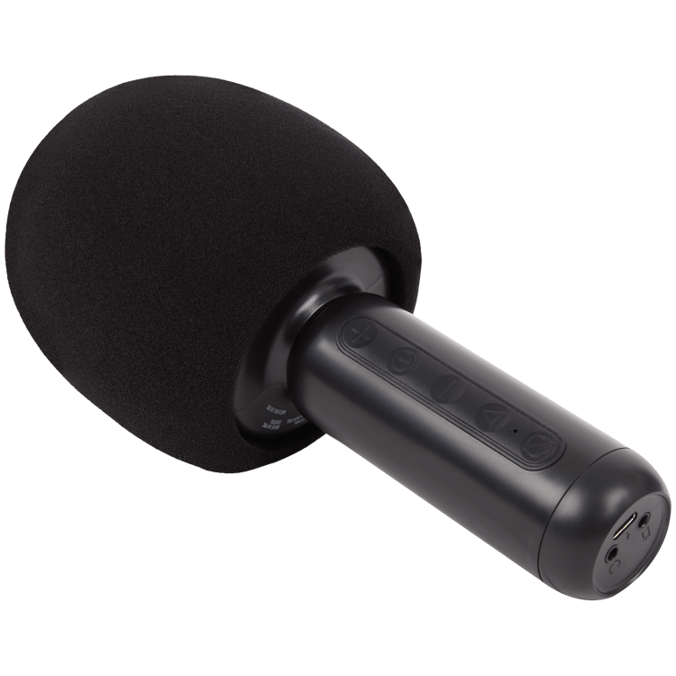 Roseland Karaoke-Mikrofon