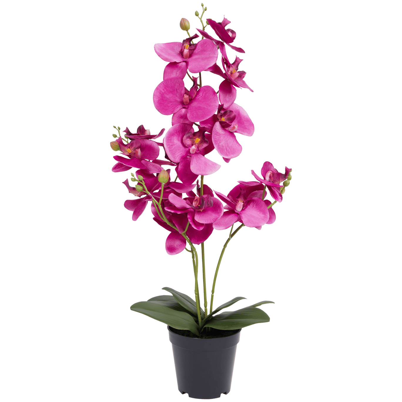 Orchidée artificielle