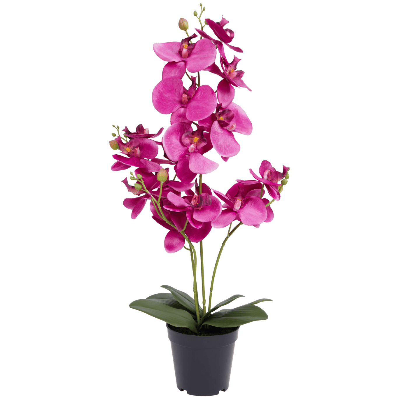 Sztuczna orchidea