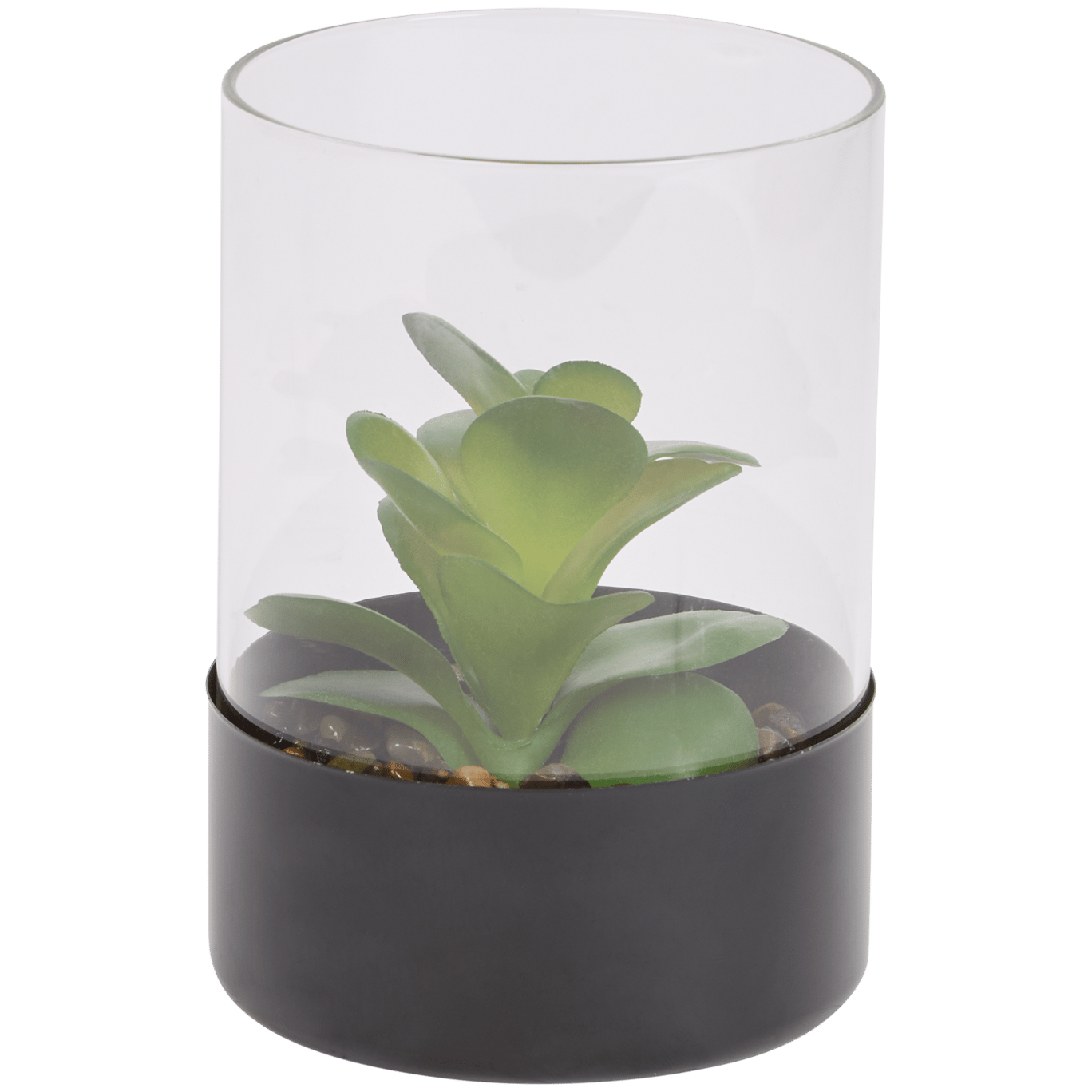 Plante grasse artificielle dans un terrarium