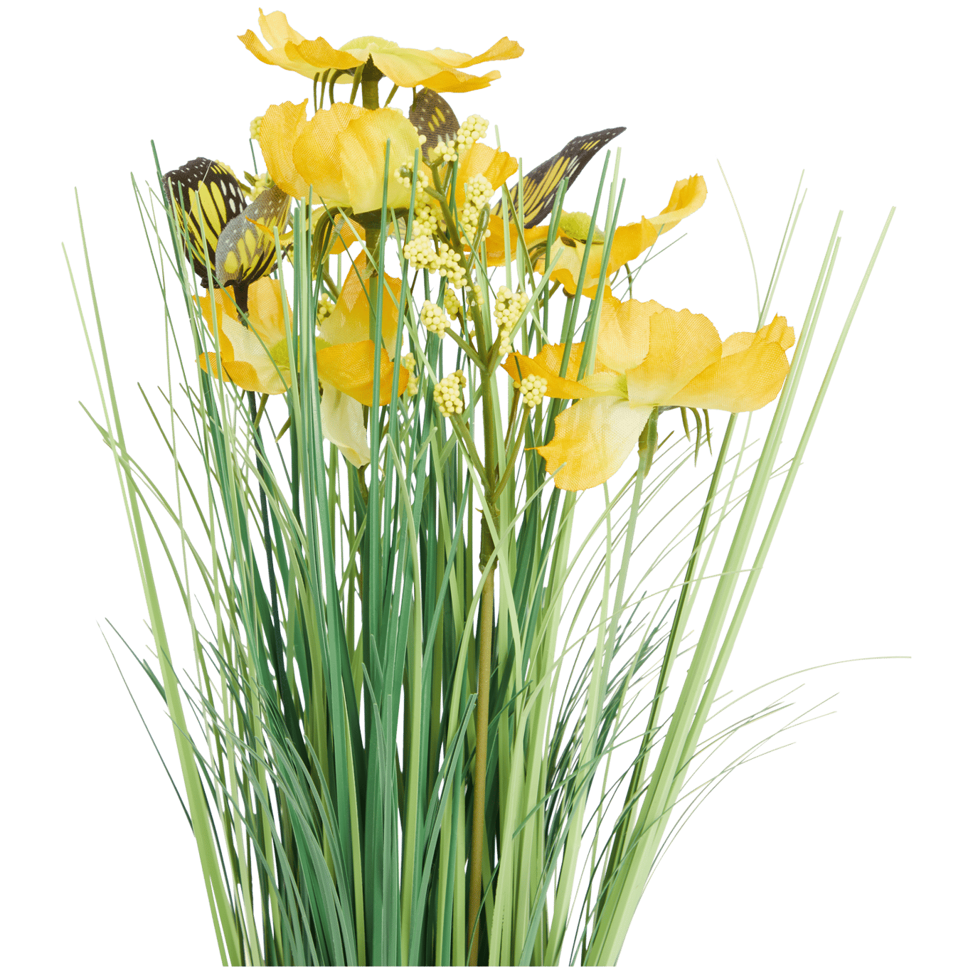 Touffe d'herbe avec fleurs et papillons