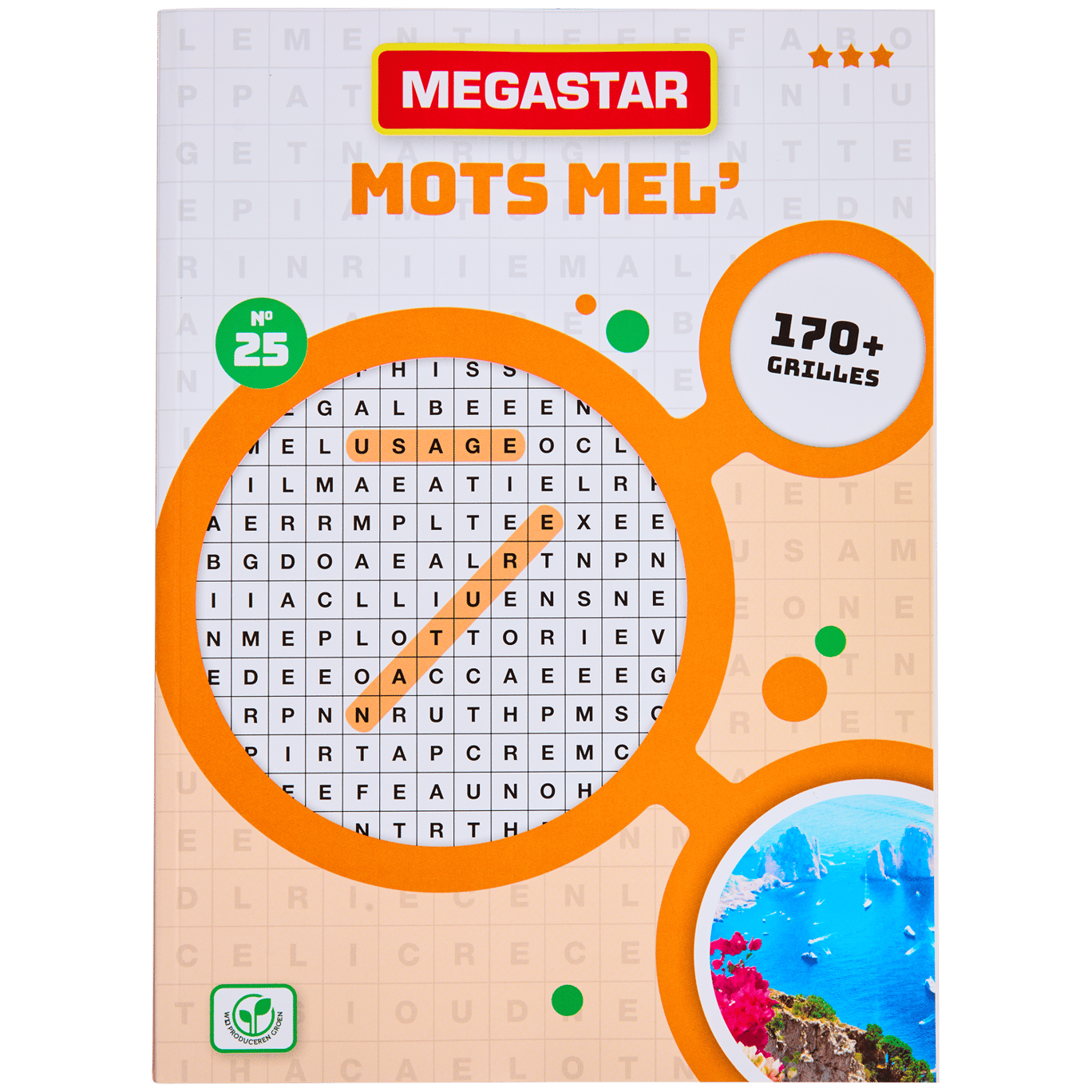 Livre de puzzles cérébraux Megastar 