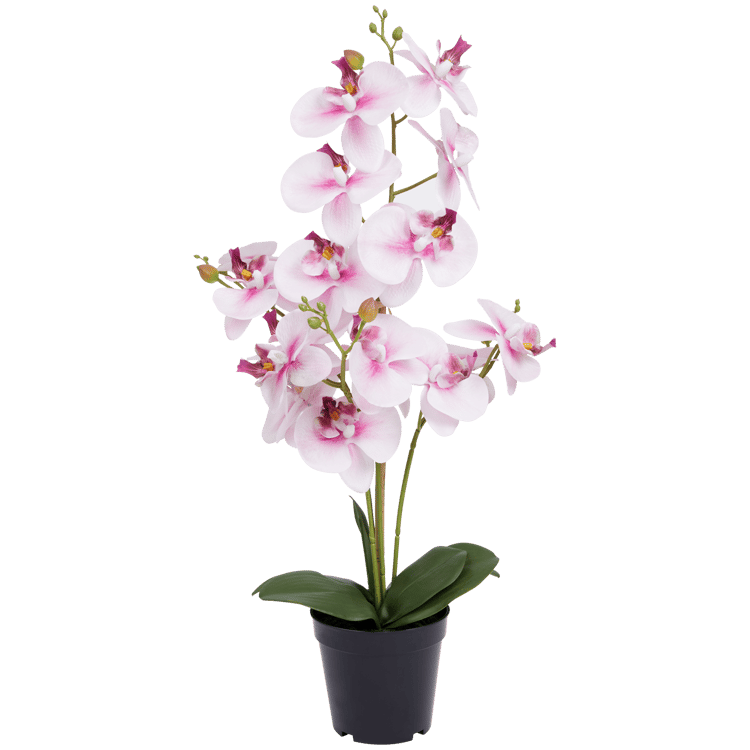 Sztuczna orchidea