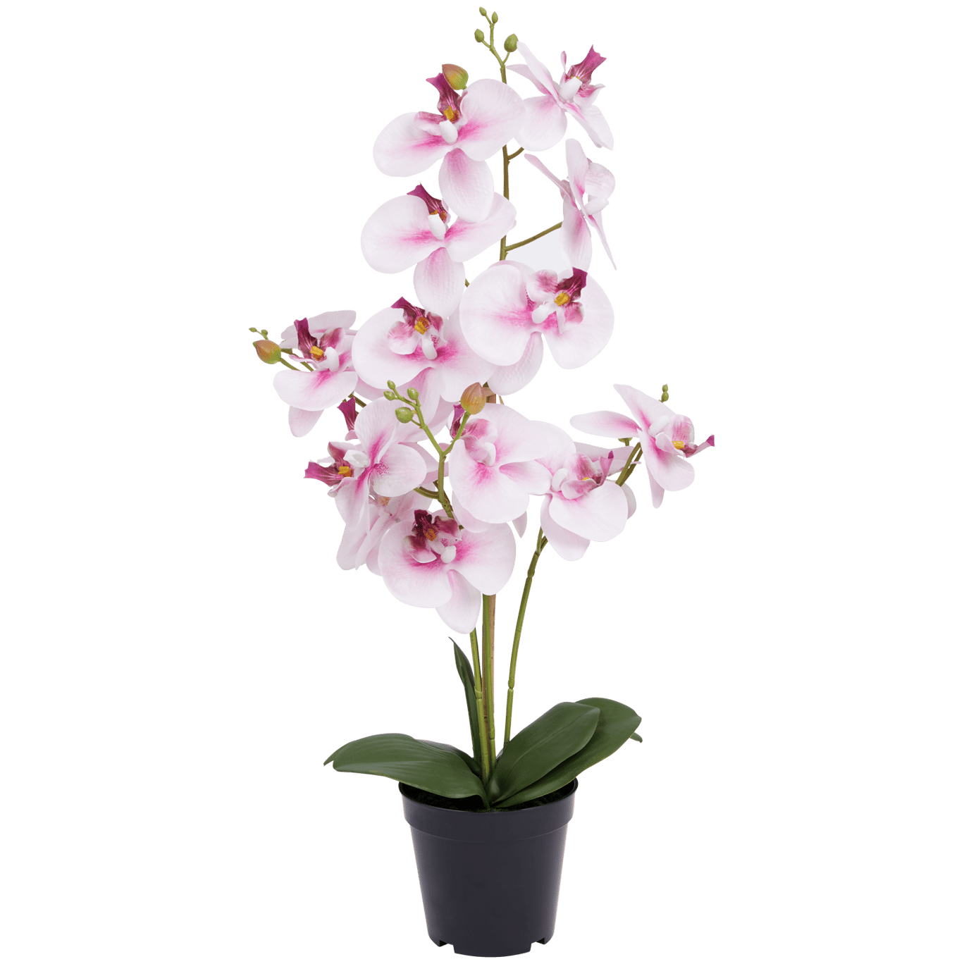 Umelá orchidea