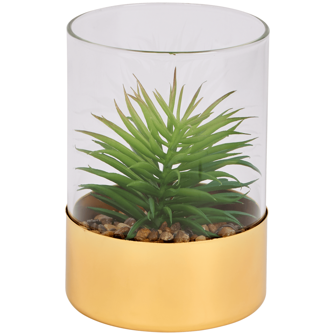 Plante grasse artificielle dans un terrarium