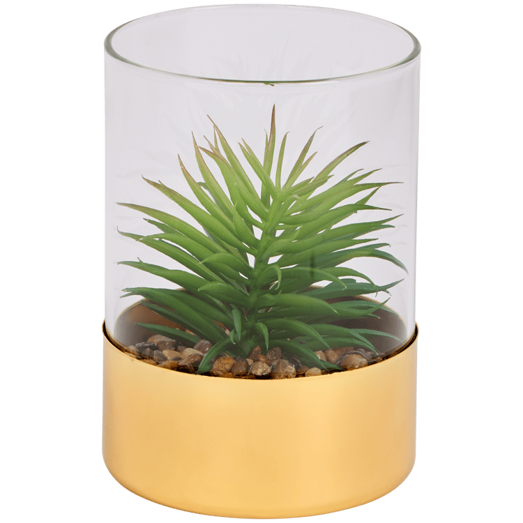 Plante grasse artificielle dans un terrarium