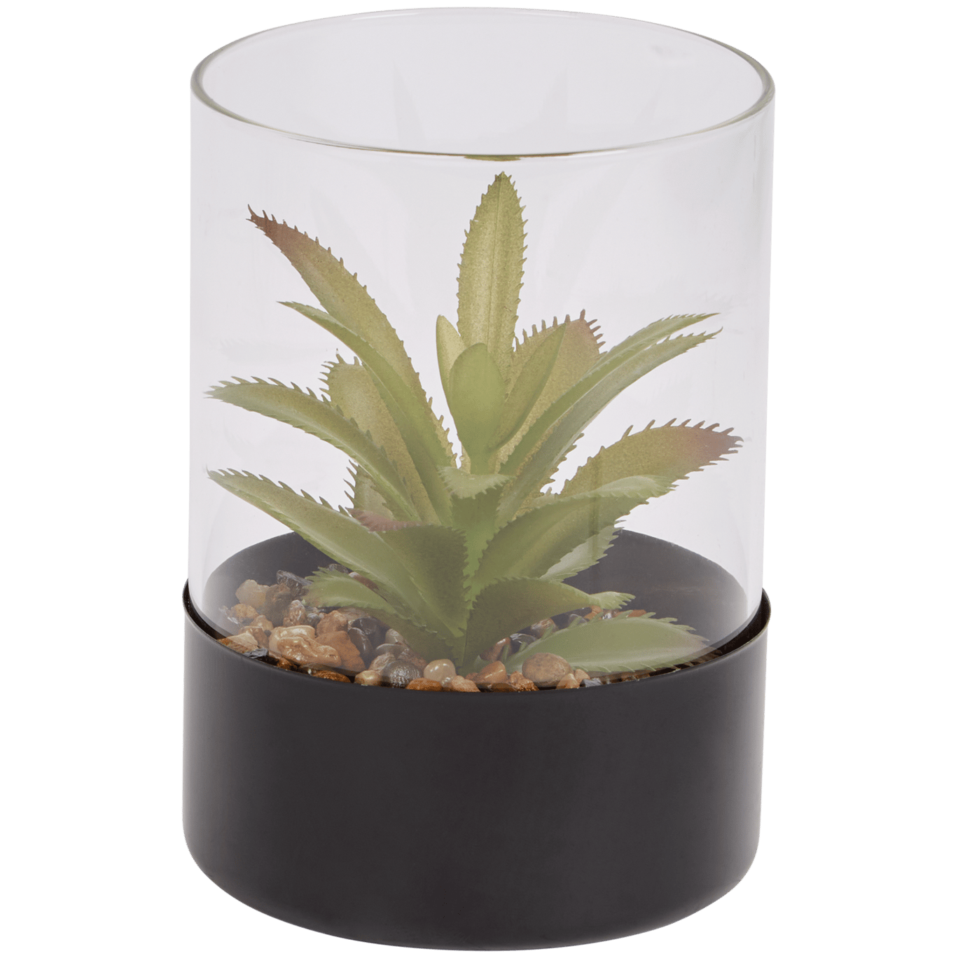 Plante grasse artificielle dans un terrarium