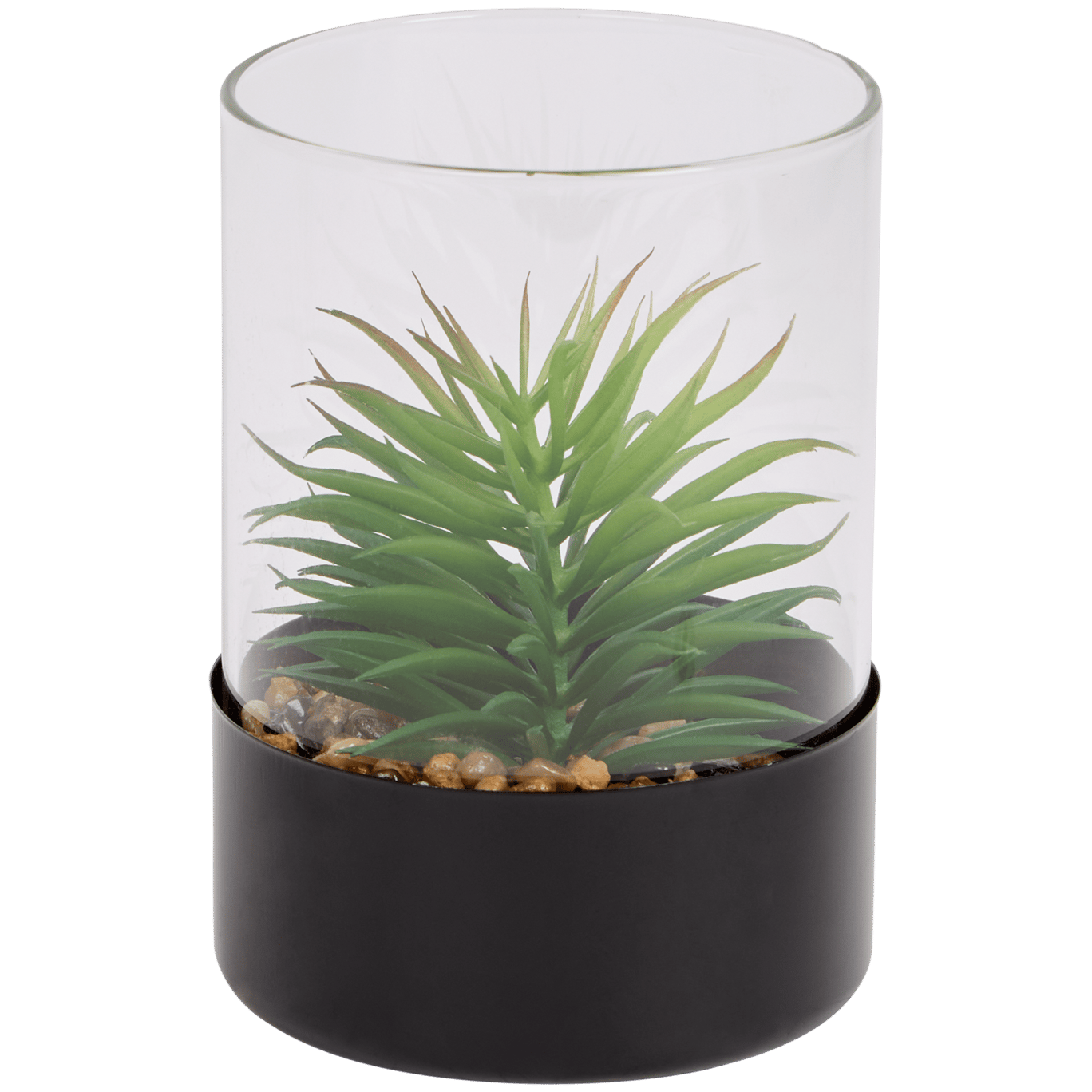 Plante grasse artificielle dans un terrarium