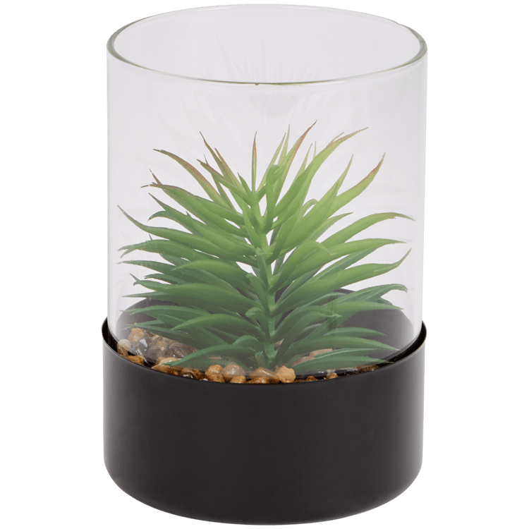 Plante grasse artificielle dans un terrarium