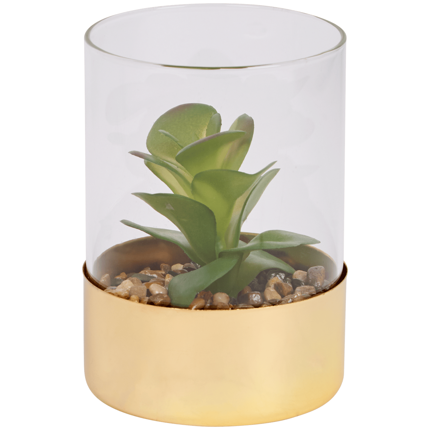 Plante grasse artificielle dans un terrarium