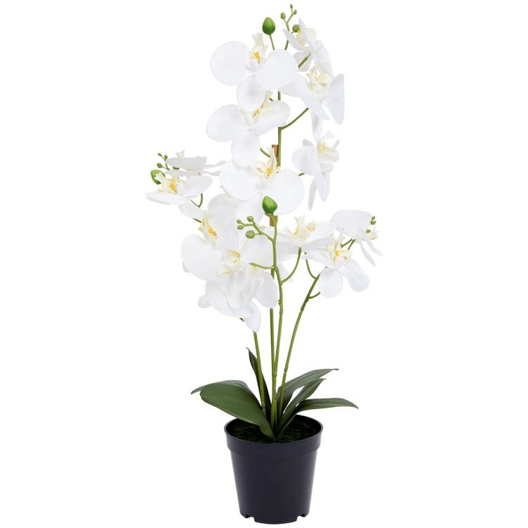 Sztuczna orchidea