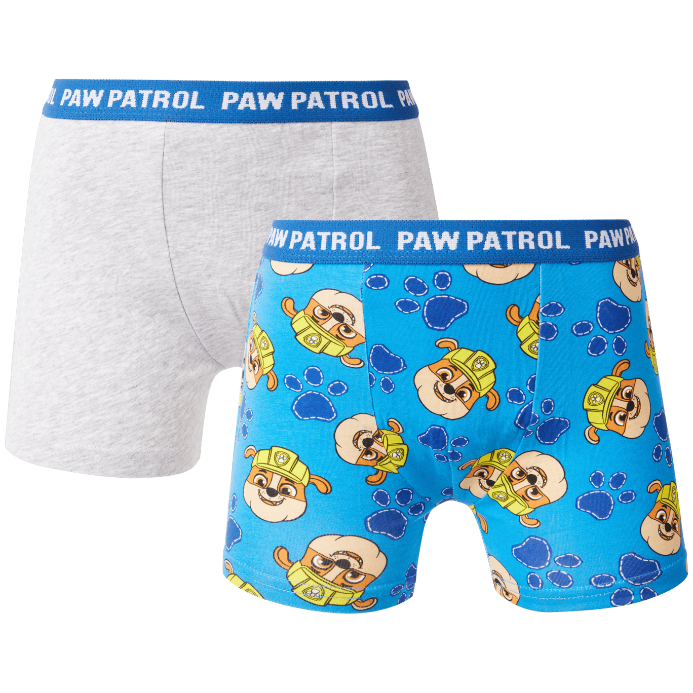 Boxer Paw Patrol