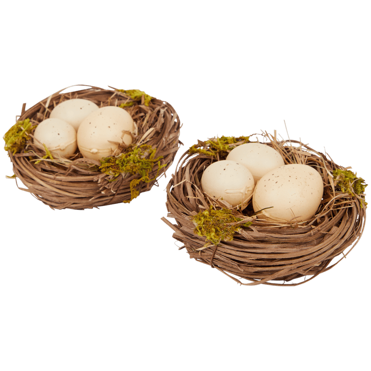 Home Accents nestjes met kwarteleieren