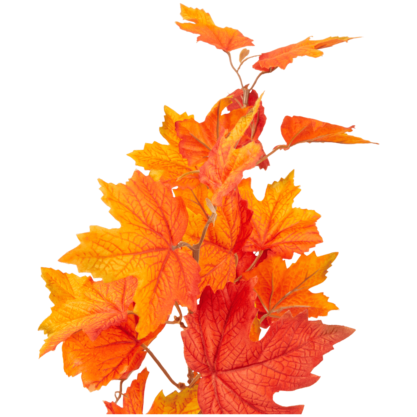 Podzimní listy na větvičce