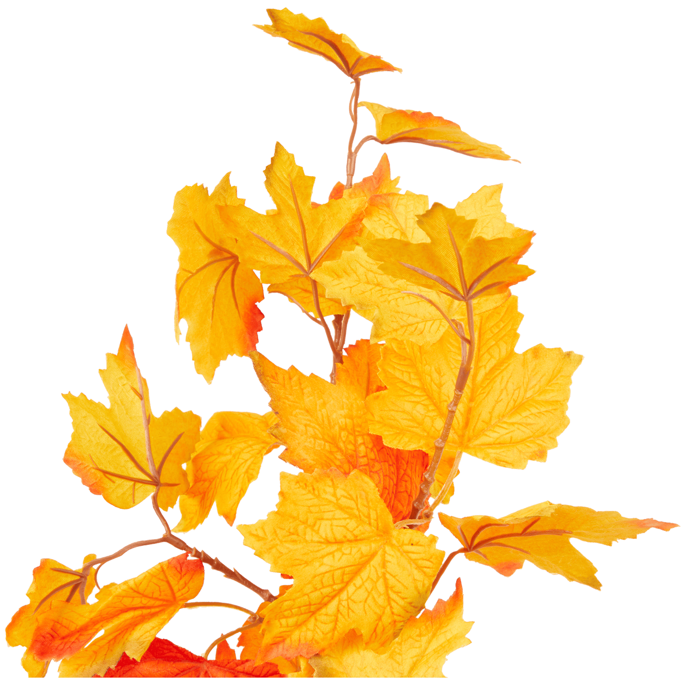 Podzimní listy na větvičce