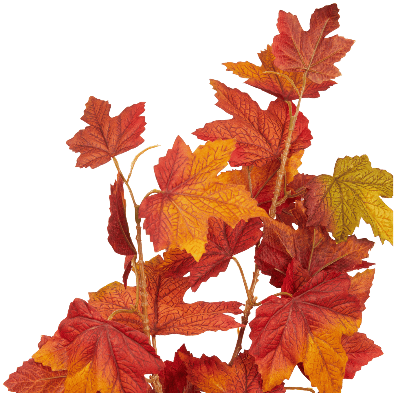 Ramo de folhas de outono
